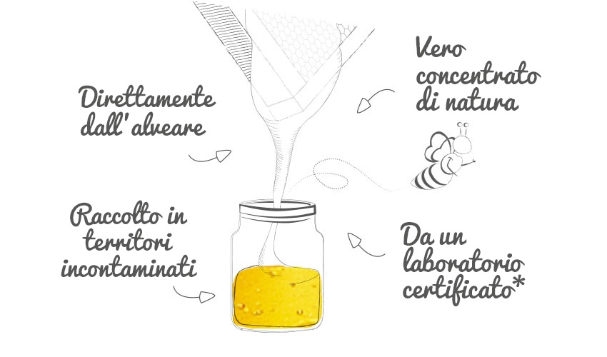 illus_homepage_04
